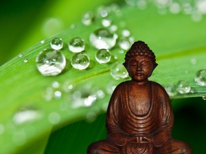 Yoga Meditazione Buddha Goccie