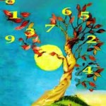 numerologia numerodanza